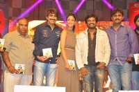 DCM Music Launch Photos